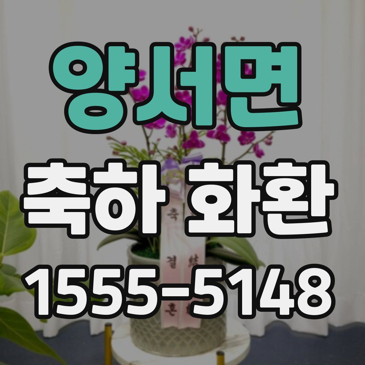 양서면 축하 화환