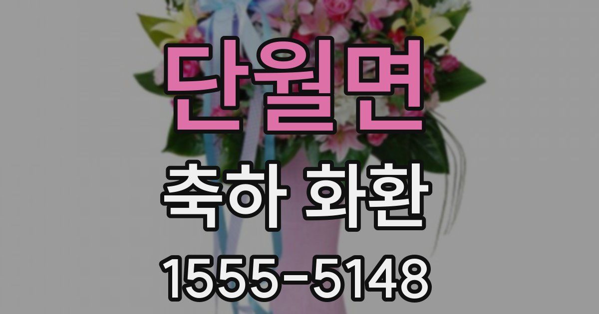 단월면 축하 화환