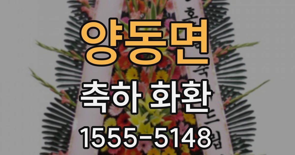 양동면 축하 화환