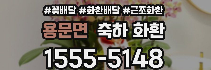 용문면 축하 화환