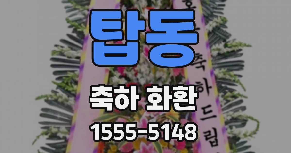 탑동 축하 화환