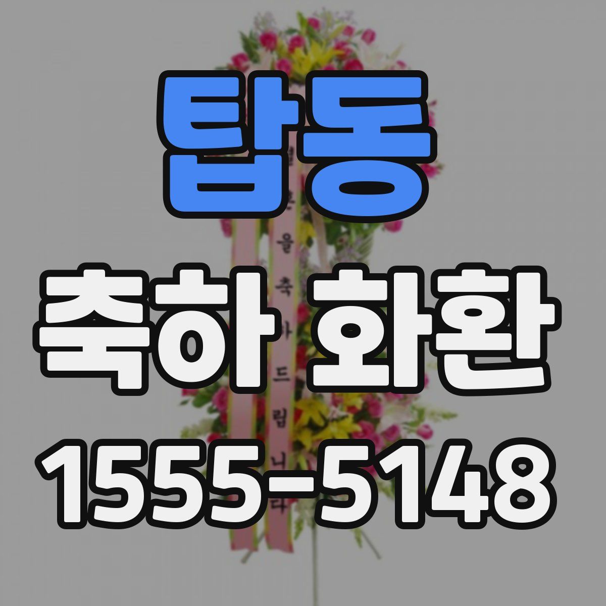 탑동 축하 화환