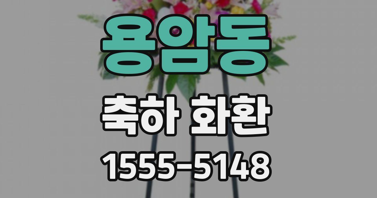 용암동 축하 화환