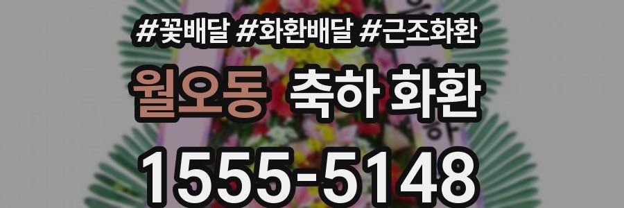 월오동 축하 화환