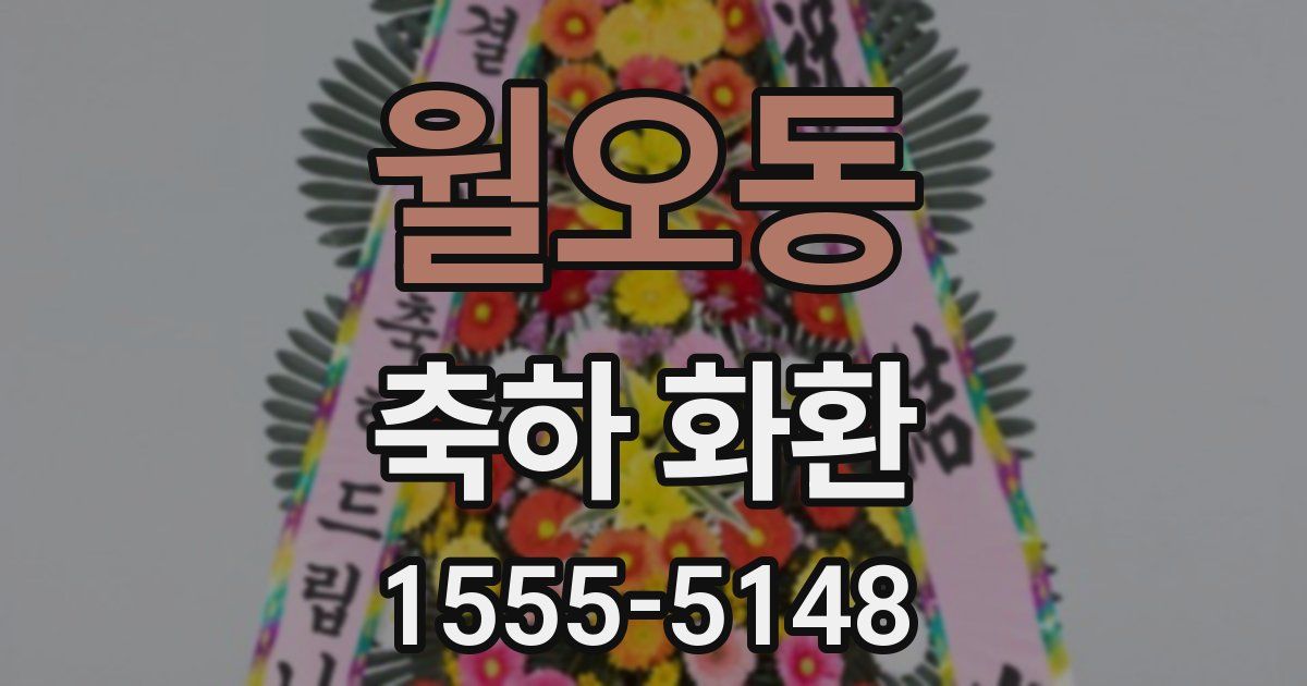 월오동 축하 화환