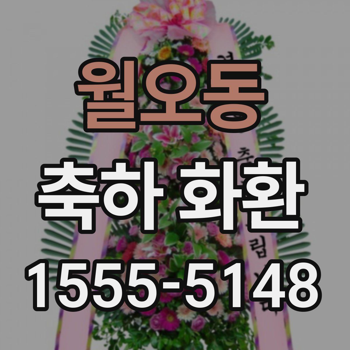 월오동 축하 화환