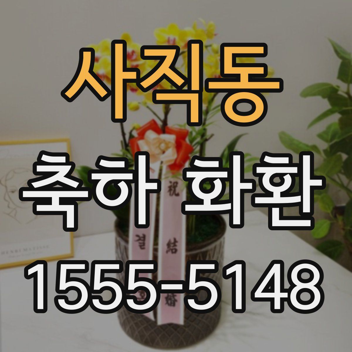 사직동 축하 화환