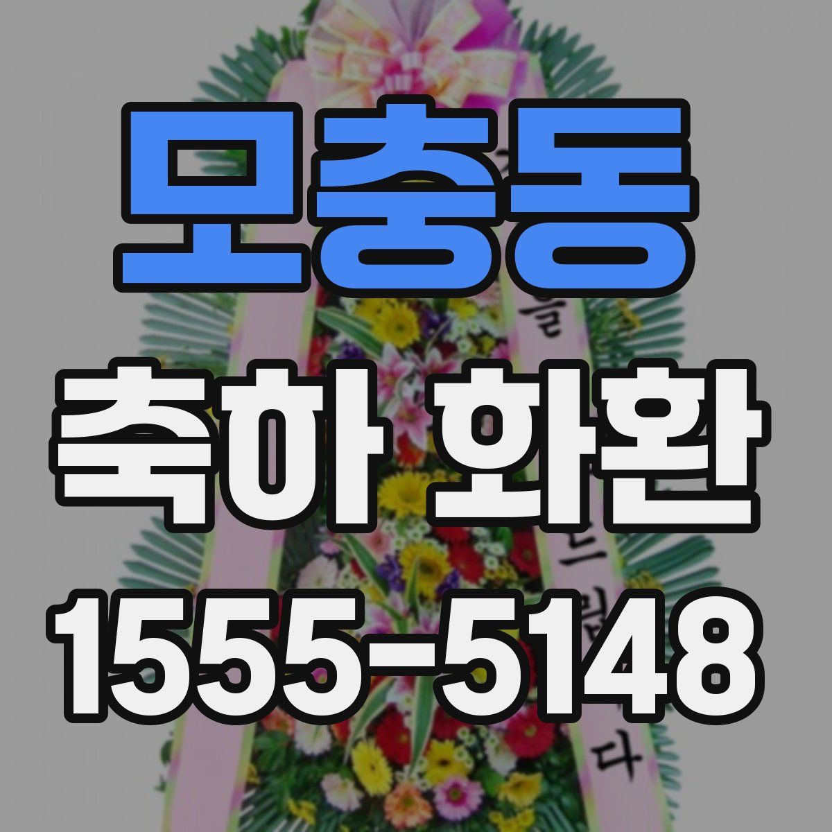 모충동 축하 화환