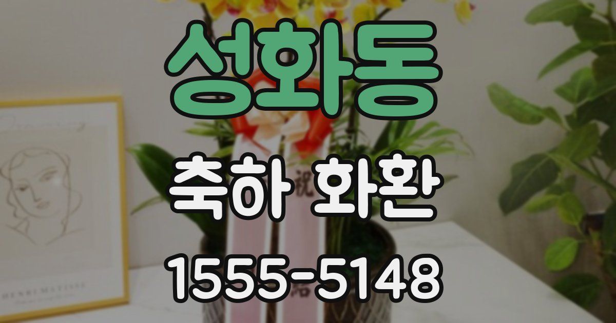 성화동 축하 화환