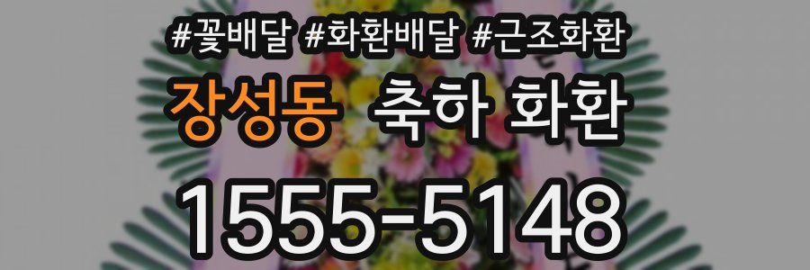 장성동 축하 화환
