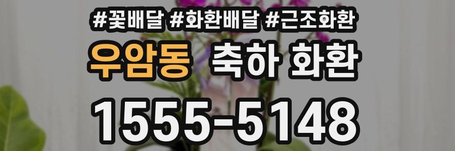 우암동 축하 화환