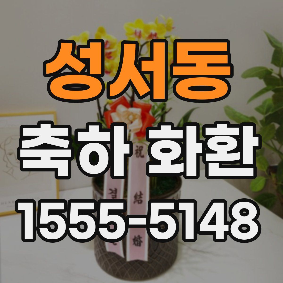 성서동 축하 화환