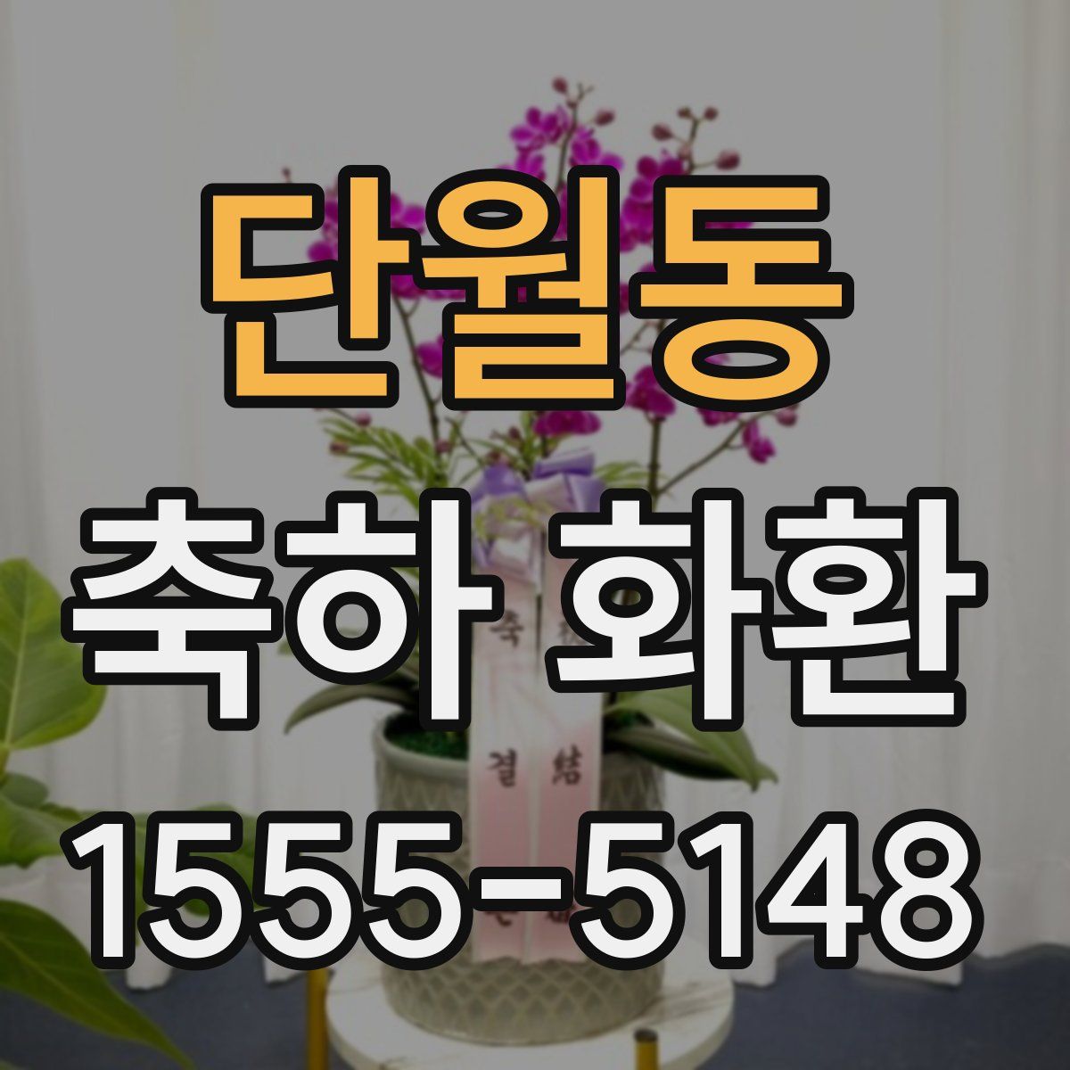 단월동 축하 화환