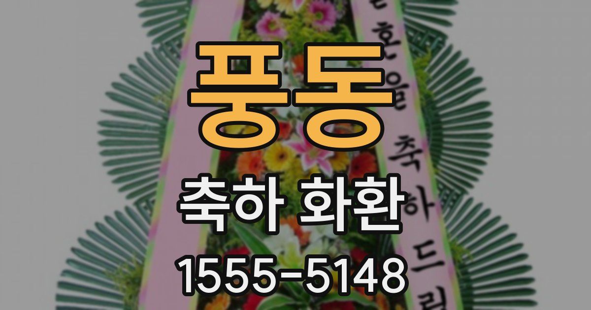 풍동 축하 화환