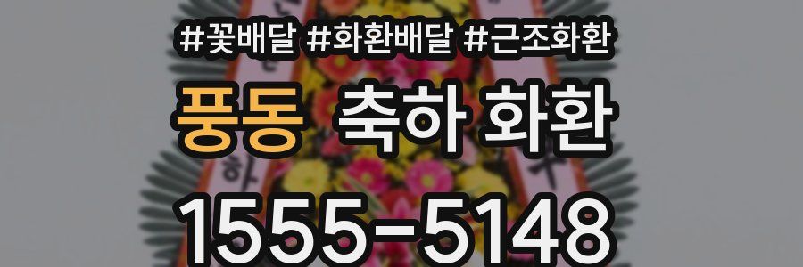 풍동 축하 화환