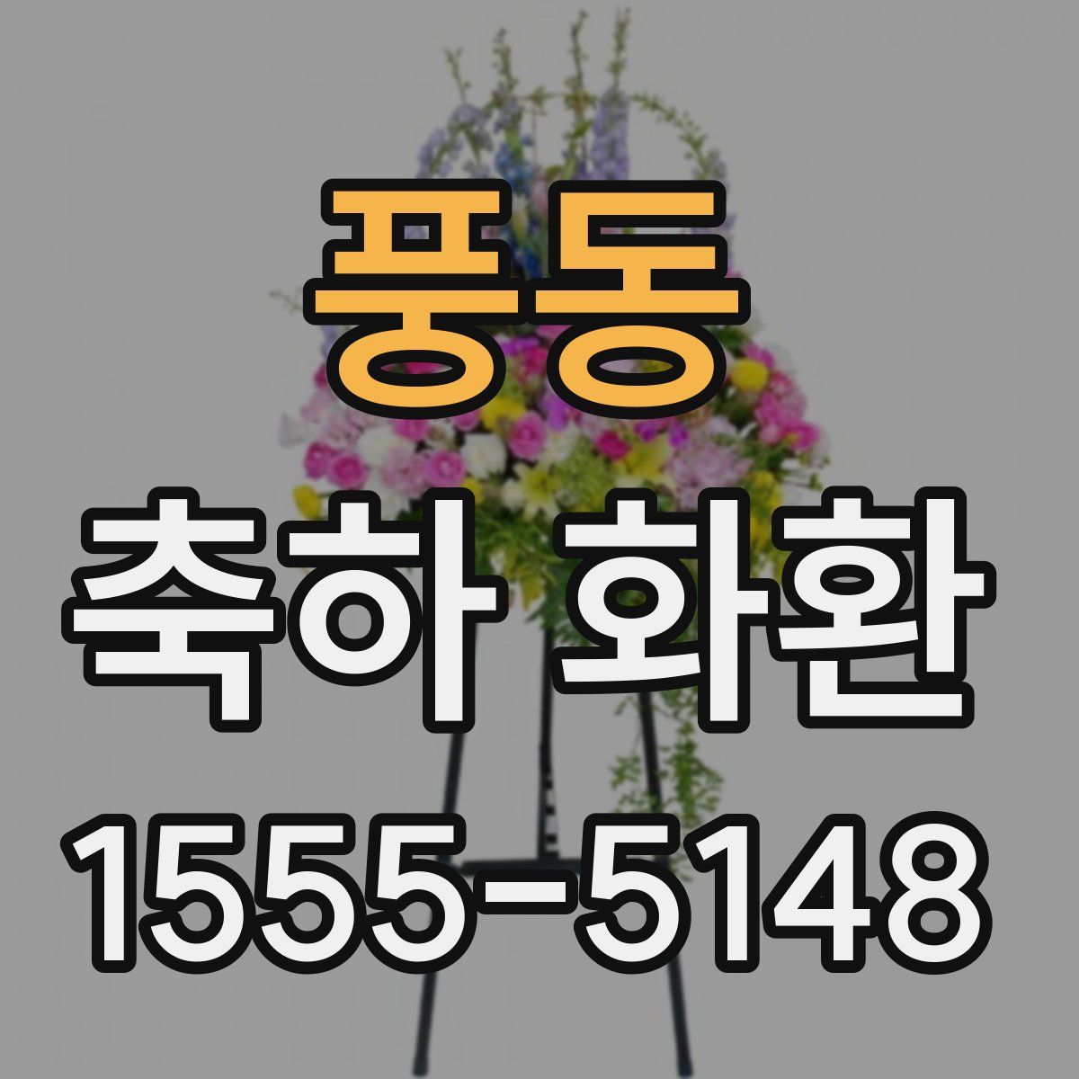 풍동 축하 화환
