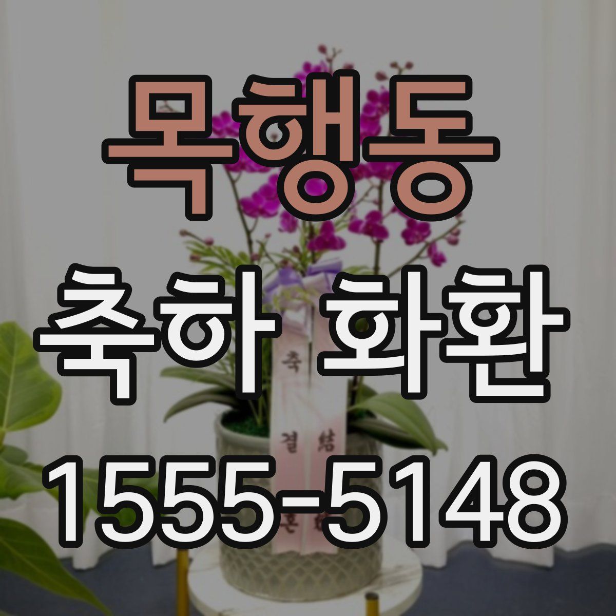 목행동 축하 화환