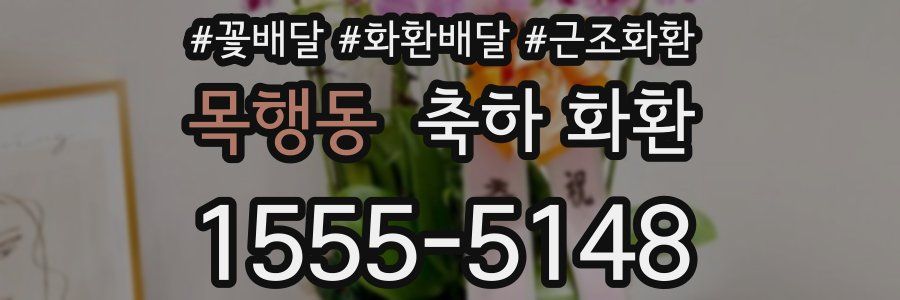 목행동 축하 화환