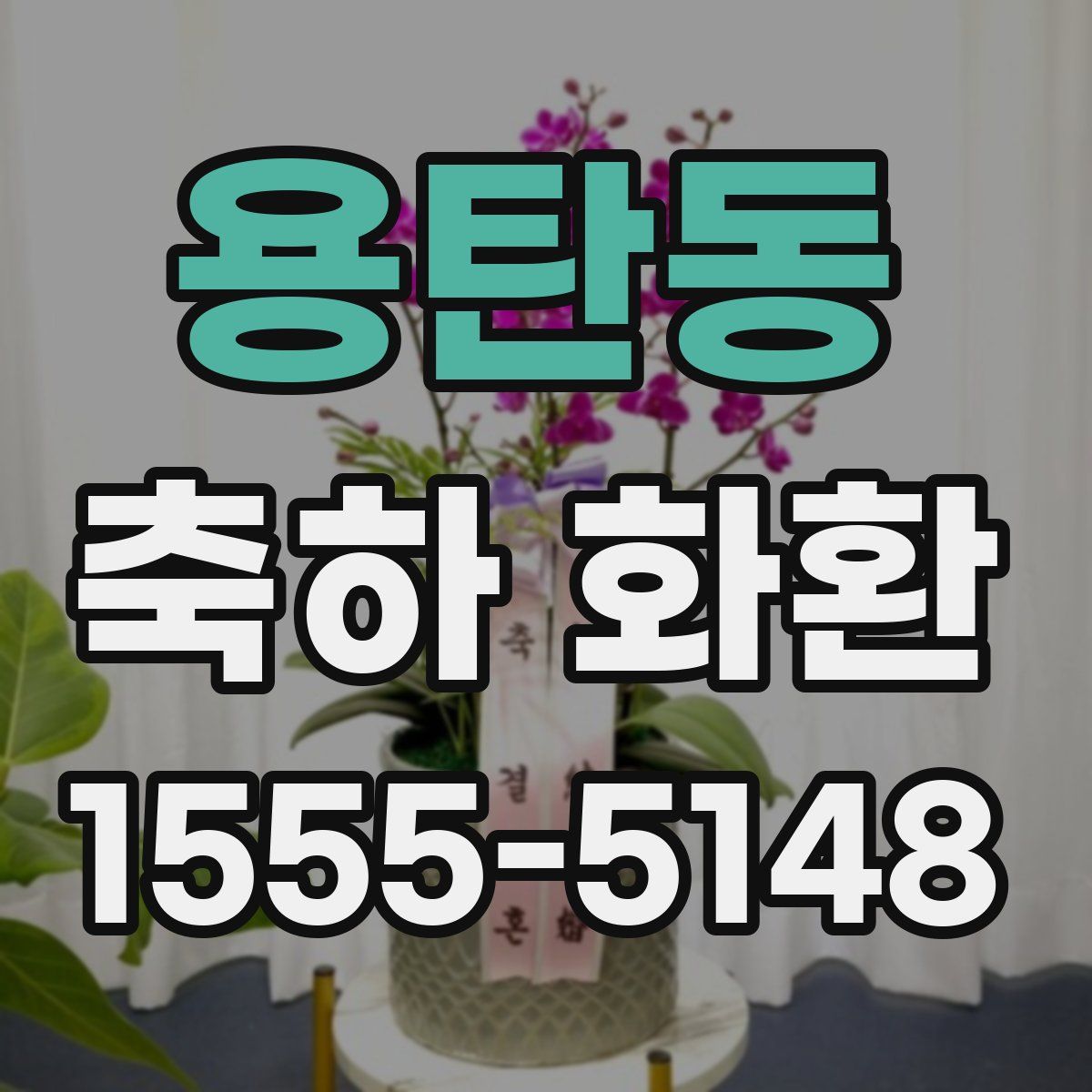 용탄동 축하 화환