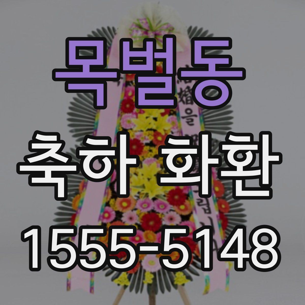 목벌동 축하 화환 예산별 구성 비교