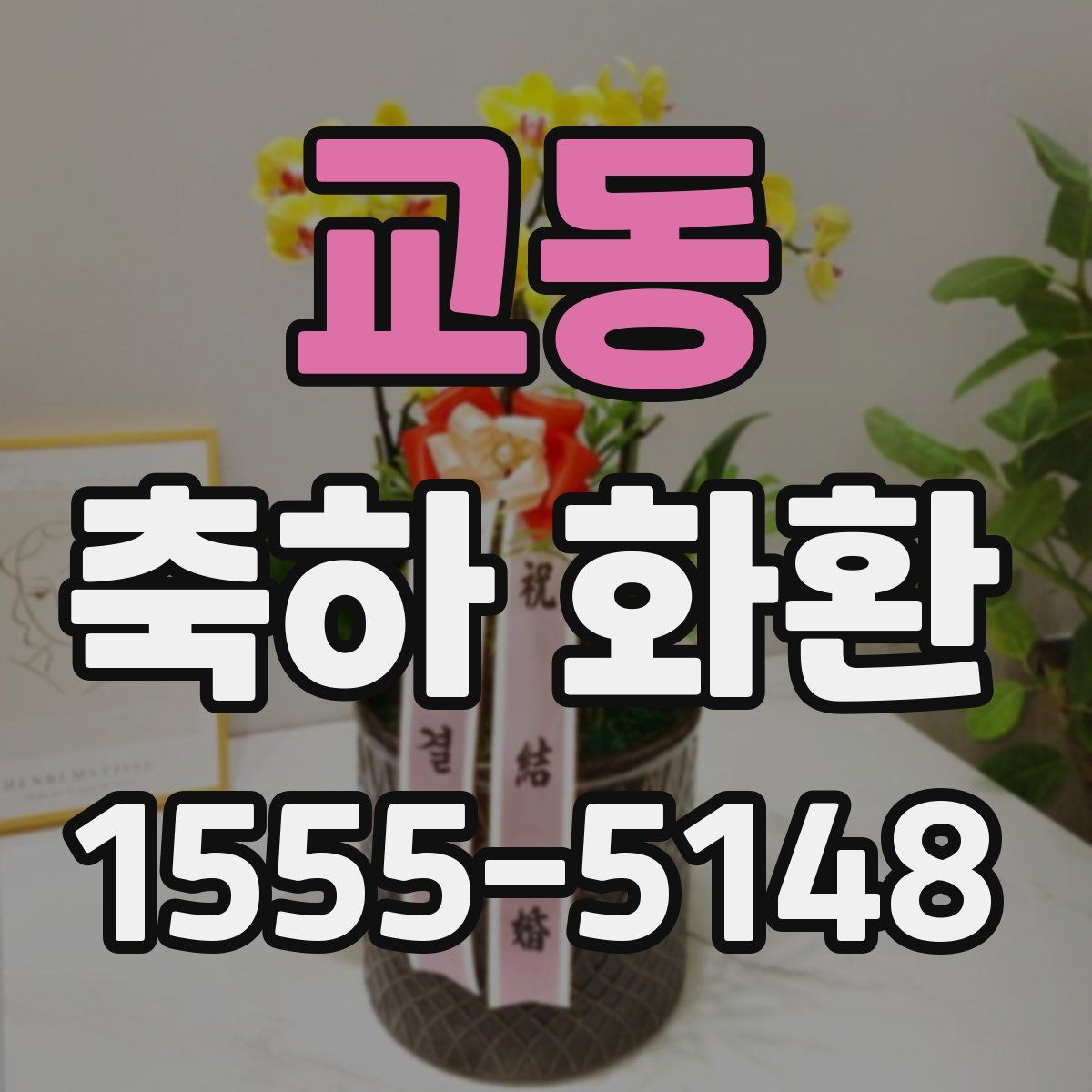 교동 축하 화환