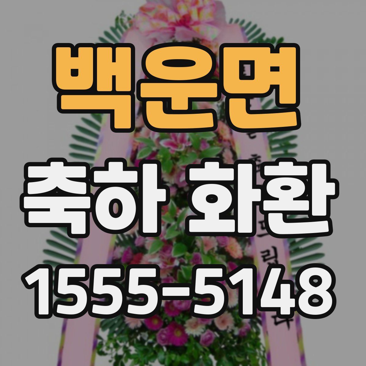 백운면 축하 화환