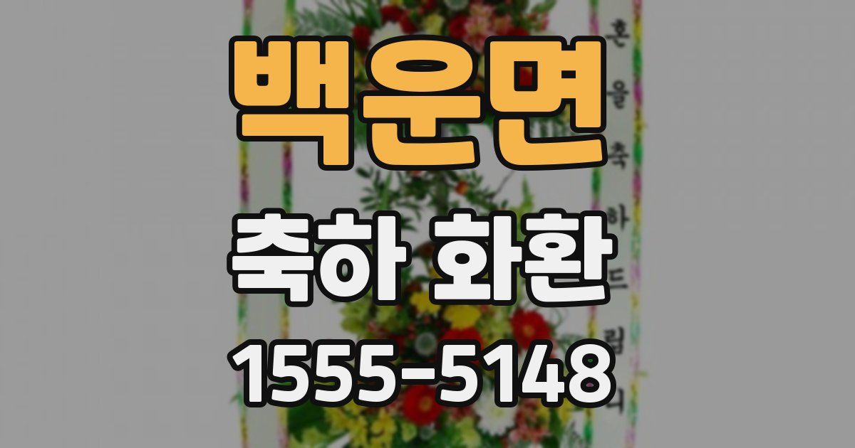 백운면 축하 화환
