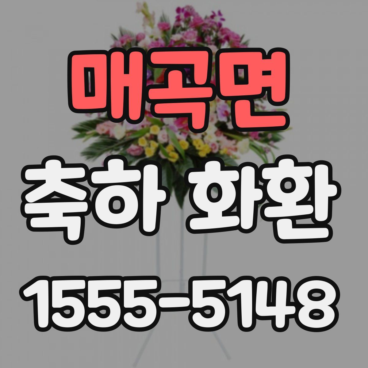 매곡면 축하 화환