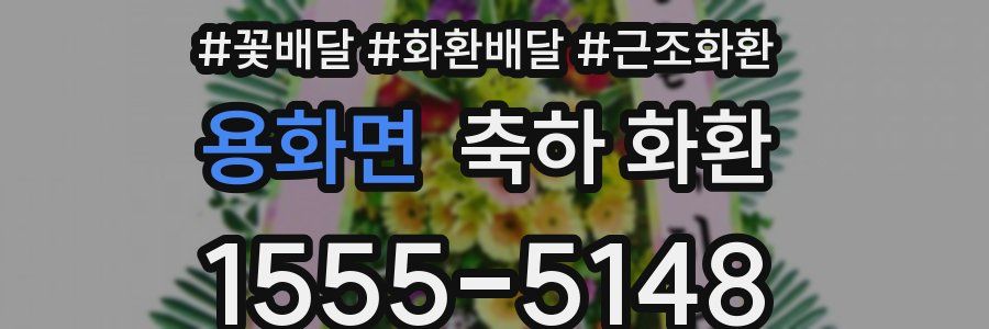 용화면 축하 화환