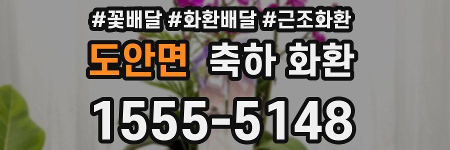 도안면 축하 화환