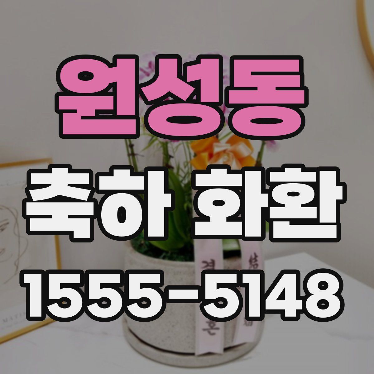 원성동 축하 화환
