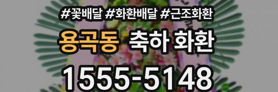용곡동 축하 화환