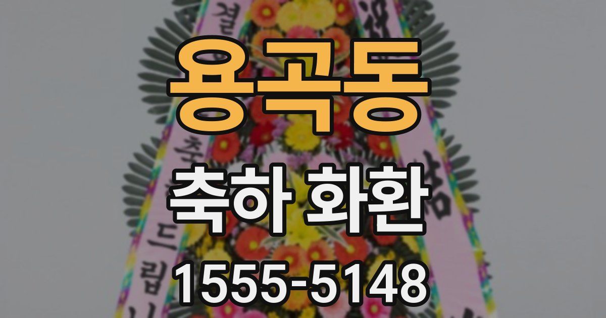 용곡동 축하 화환
