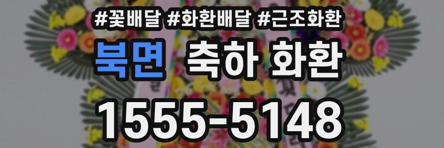 북면 축하 화환