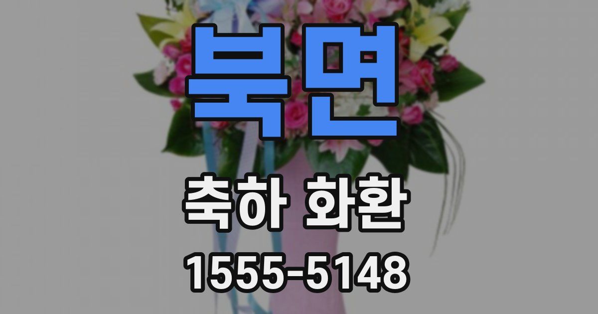 북면 축하 화환