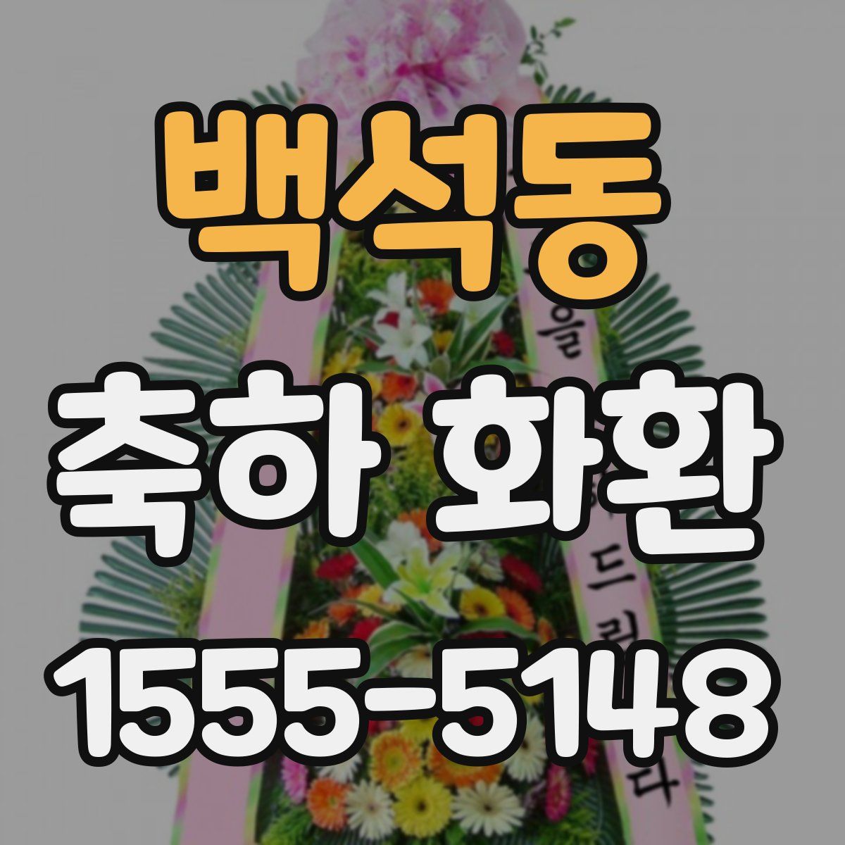 백석동 축하 화환