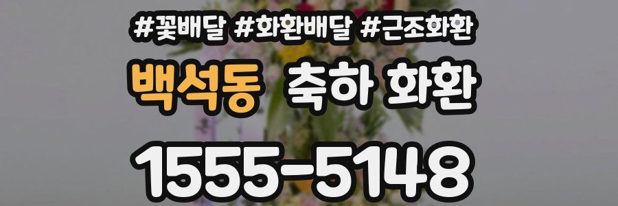 백석동 축하 화환