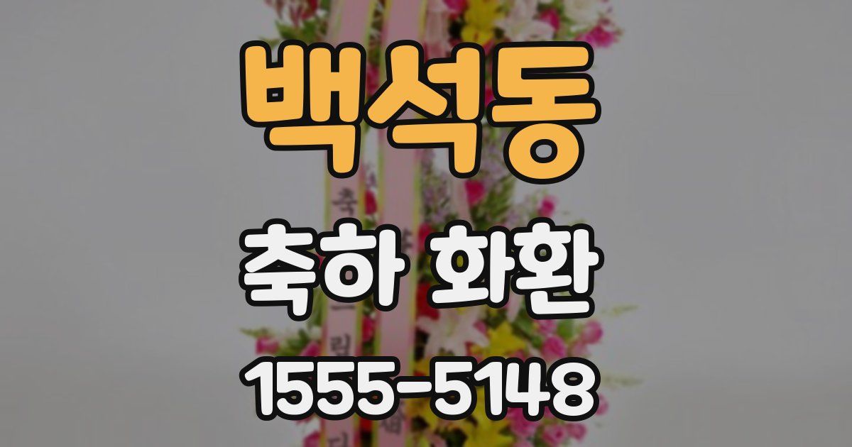백석동 축하 화환