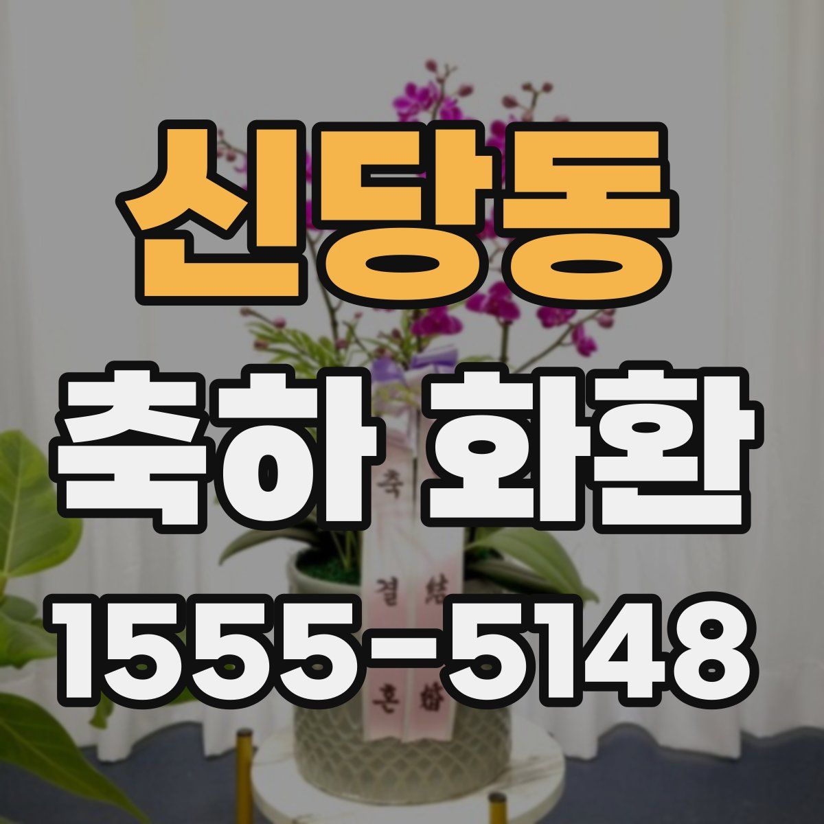 신당동 축하 화환