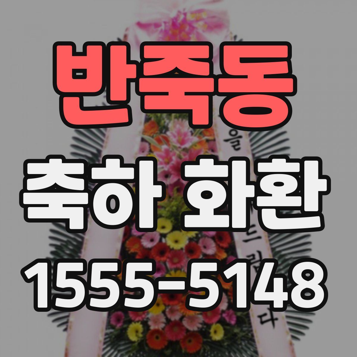 반죽동 축하 화환
