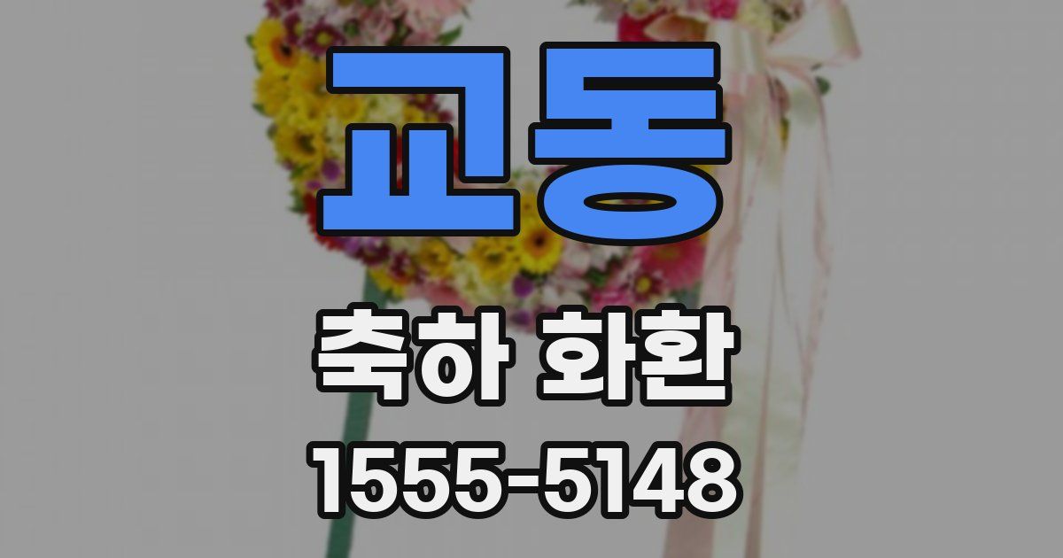 교동 축하 화환