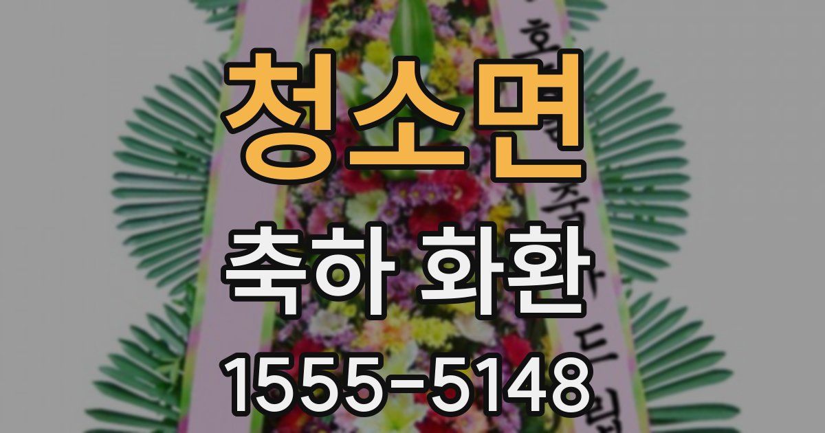 청소면 축하 화환