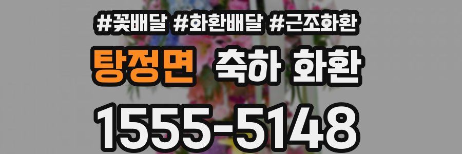 탕정면 축하 화환