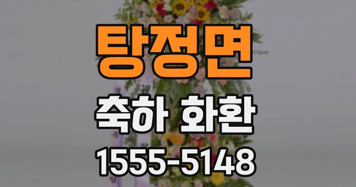 탕정면 축하 화환