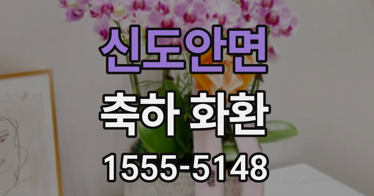 신도안면 축하 화환