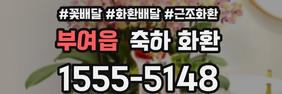 부여읍 축하 화환
