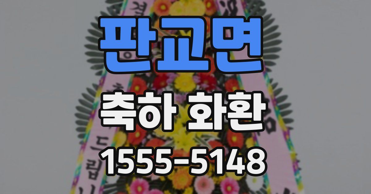 판교면 축하 화환