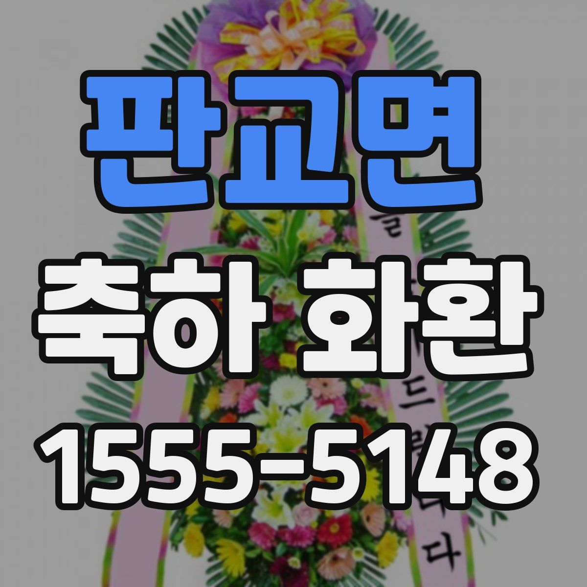 판교면 축하 화환