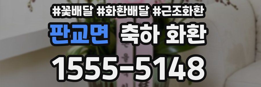 판교면 축하 화환