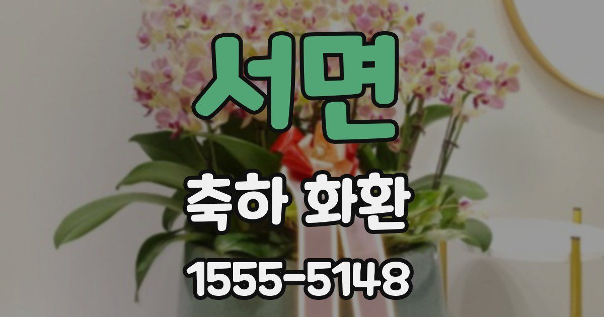 서면 축하 화환